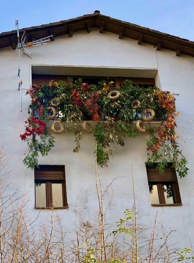 Apartamentos En El Valle Del Jerte Flores Para Angela Cabezuela Del Valle Zewnętrze zdjęcie